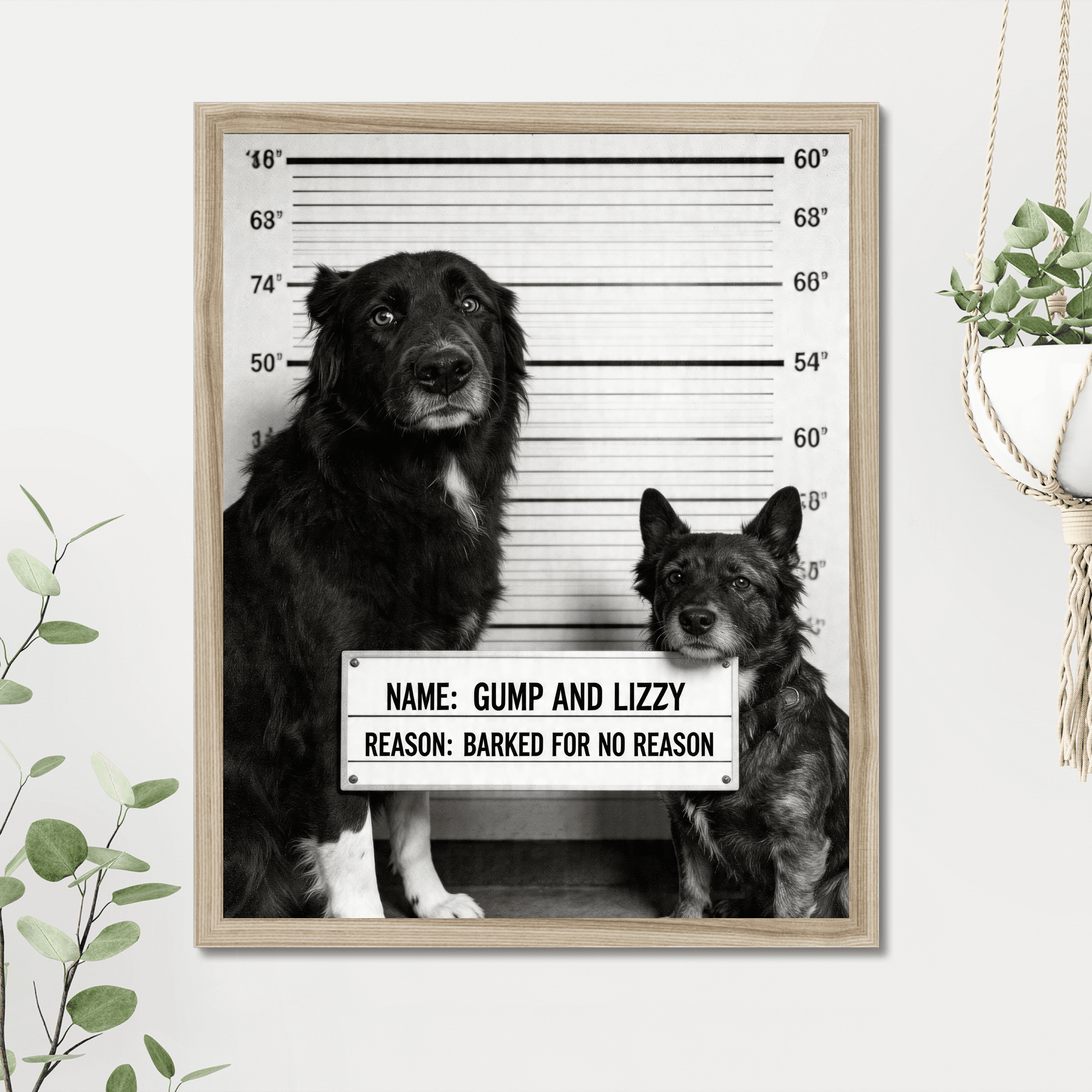 Pet Mugshot